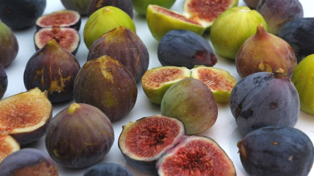fig fruit varieties