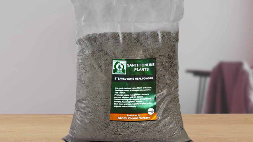 organic fertilizer