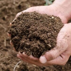 Cow Manure (Organic Fertilizer)(10 Kg)