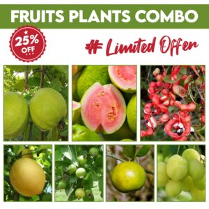 Fruit Plants Combo
