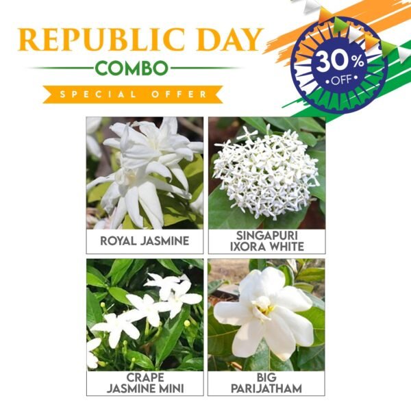 Republic Day Combo
