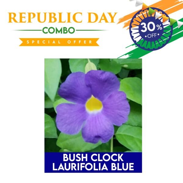 Republic Day Combo