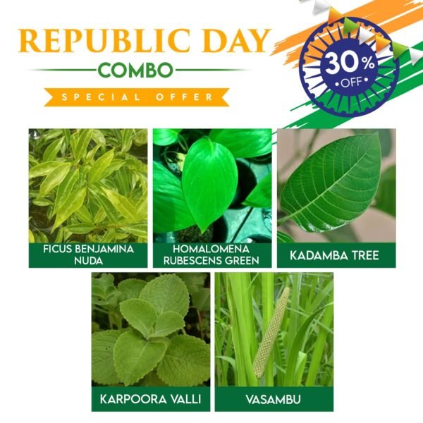 Republic Day Combo