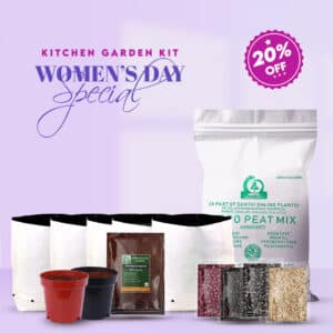 Kitchen Garden Kit - Women's day Special