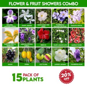 Flower & Fruit Showers Combo