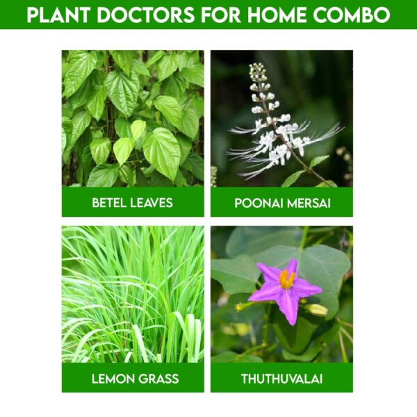 Plant Doctor's for Home Combo