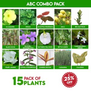 ABC Combo pack