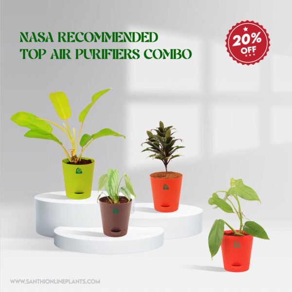 NASA Recommended Top Air Purifiers Combo