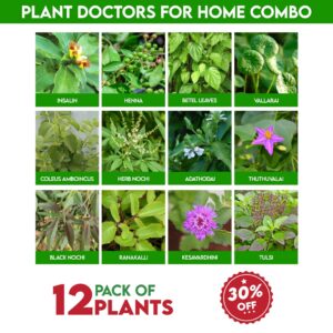 Plant doctor's for home combo