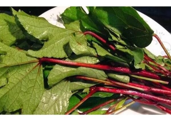 Red Gongura seeds
