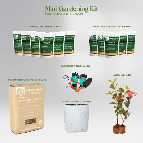 Mini Gardening Kit3