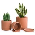 Terracota Pot Collections